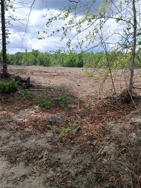 Vacant Land For Sale - LOT 2A MANNING POWELL Old Macon Highway<br/> Macon, NC 27551