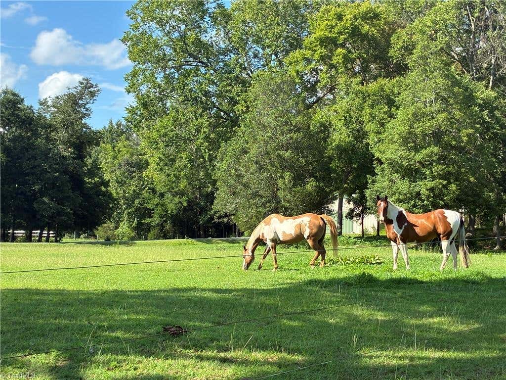 Photo of 6967 Garrett Store Road, Liberty, NC 27298 (MLS # 1230024)