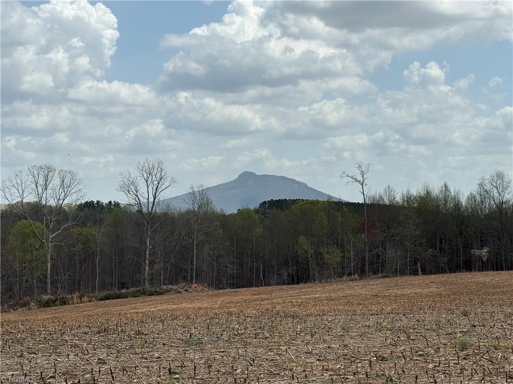 TBD Eldora Road, Ararat, North Carolina image 1