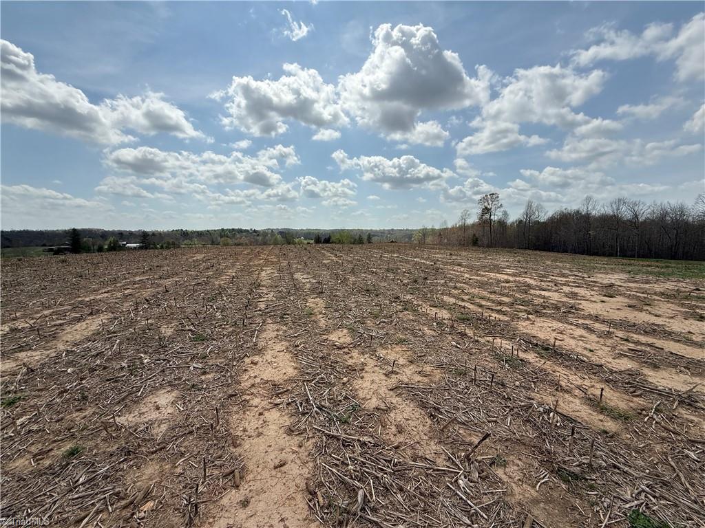 TBD Eldora Road, Ararat, North Carolina image 3