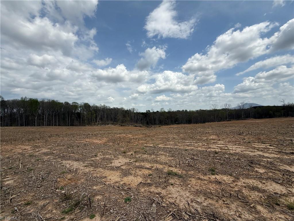 TBD Eldora Road, Ararat, North Carolina image 5