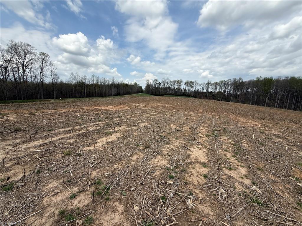 TBD Eldora Road, Ararat, North Carolina image 4