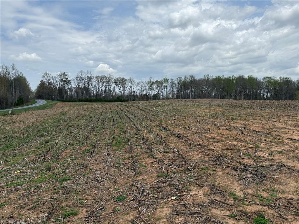 TBD Eldora Road, Ararat, North Carolina image 7