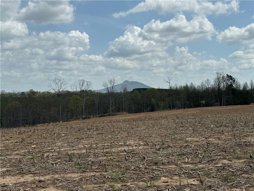 TBD Eldora Road, Ararat, North Carolina image 6