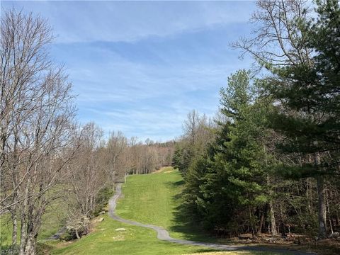 Vacant Land For Sale - LOT 33 Greenstreet Drive<br/> Traphill, NC 28685