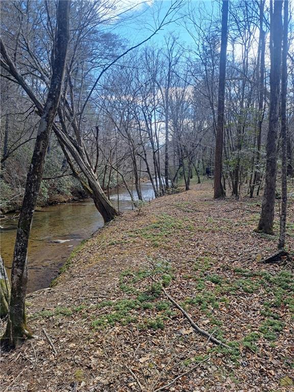 0000 Brushy Fork Road, Cana, Virginia image 9