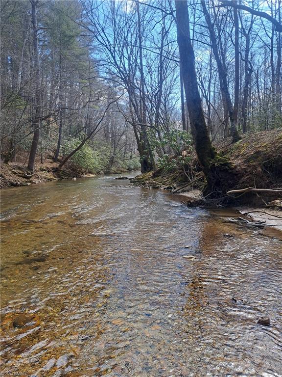 0000 Brushy Fork Road, Cana, Virginia image 1