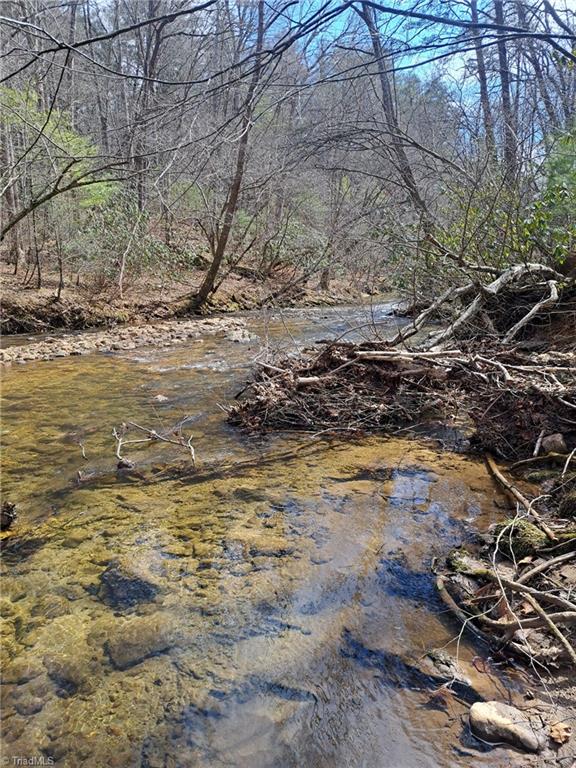 0000 Brushy Fork Road, Cana, Virginia image 5