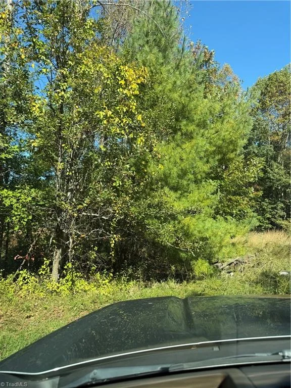 17.96 Acres Aubrey Thomas Lane, photo 1 of 26