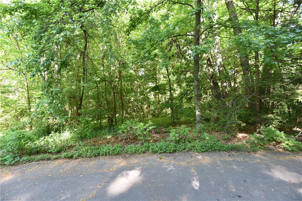 8212 Troxaway Court