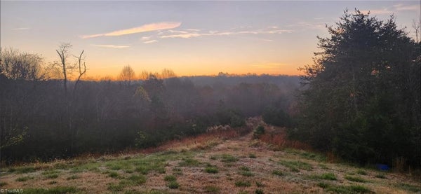 1324 HARDIE MABE RD, DANBURY, NC 27016 - Image adecb313ca0d76c9ae212b2f4e9c1140/3328034830