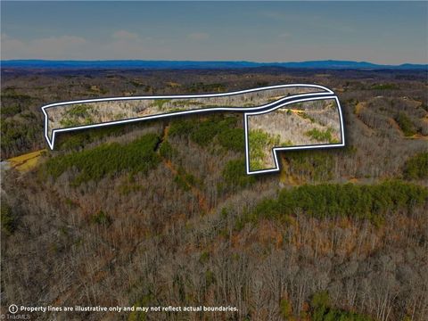 Vacant Land For Sale - 1324 Hardie Mabe Road<br/> Stokes County, Danbury, NC 27016