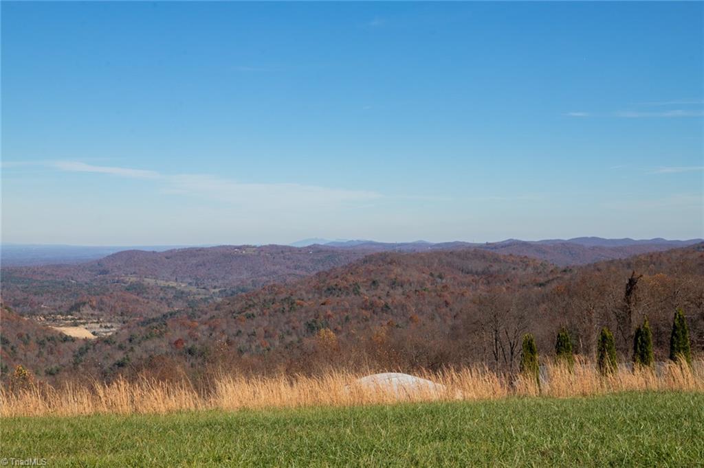 475 Orchard Road, Moravian Falls, North Carolina image 9