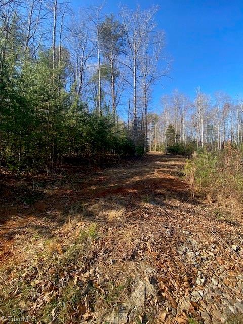 Lot #3 Bayberry Lane, Purlear, North Carolina image 4