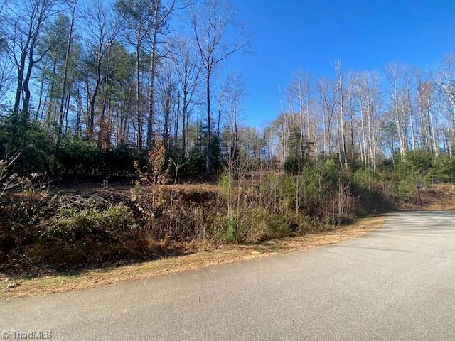 Lot #3 Bayberry Lane, Purlear, North Carolina image 2