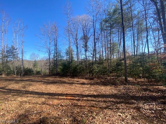 Lot #3 Bayberry Lane, Purlear, North Carolina image 1