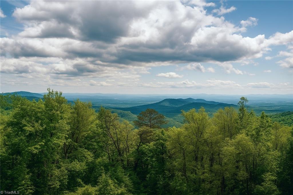 1225 Rich Hill Mountain Road, Glade Valley, North Carolina image 2