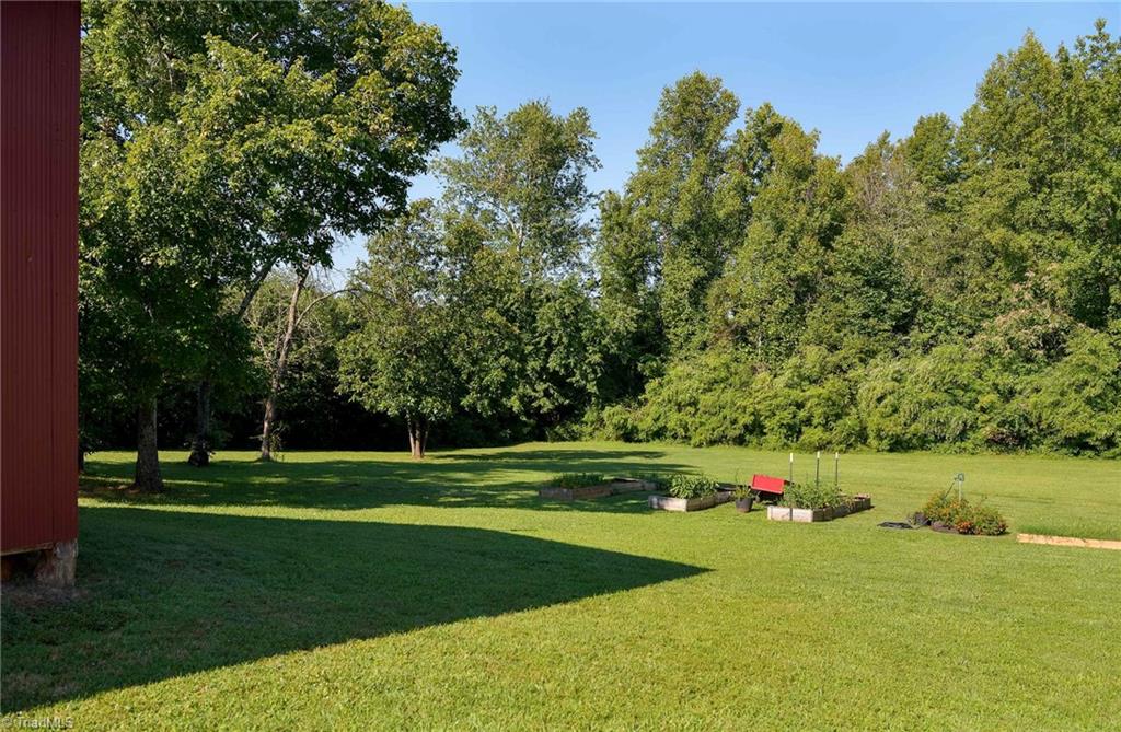 61 Alamance Drive, Reidsville, North Carolina image 24