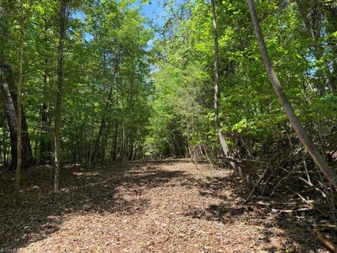 Vacant Land For Sale - 00 Broadview Drive<br/> Pfafftown, NC 27040