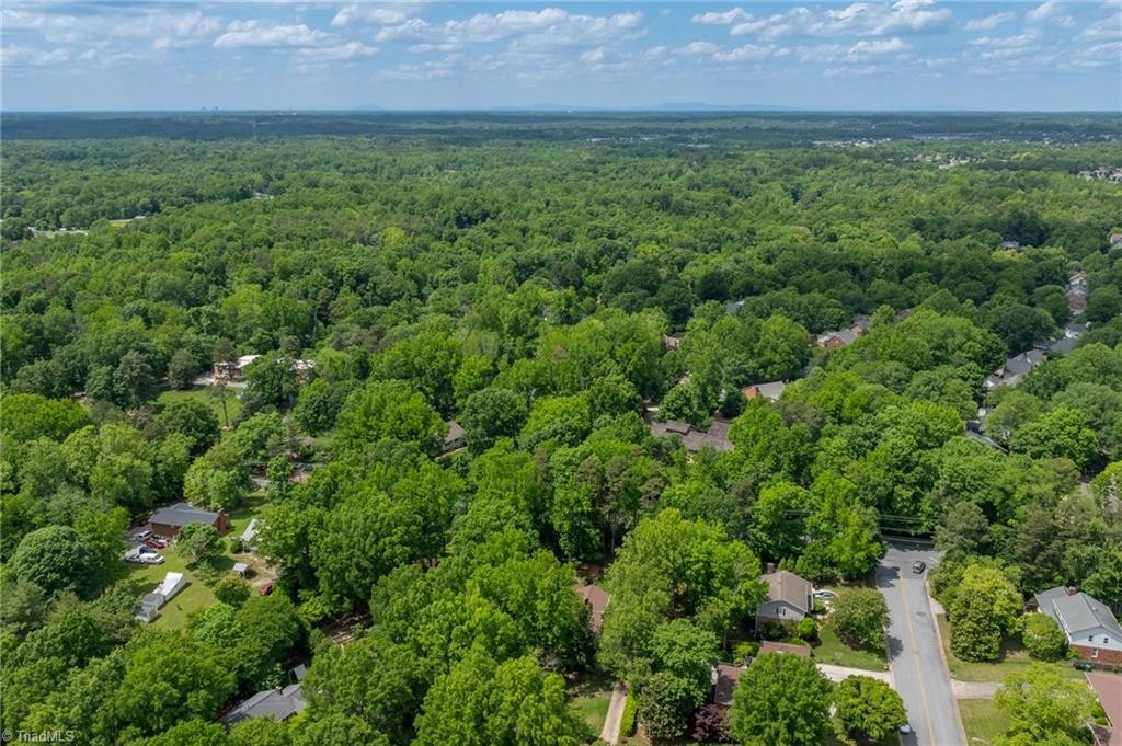 1502 Trafalgar Court, High Point, North Carolina image 49