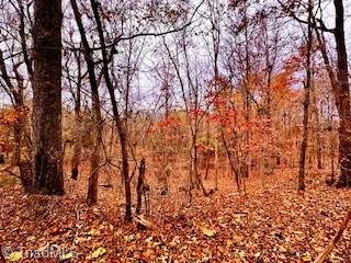 #40 & #41 Fox Run, Eden, North Carolina image 5