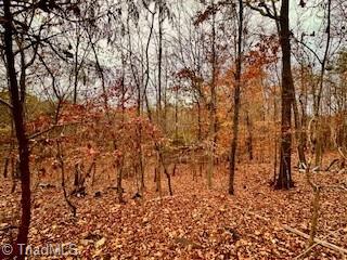 #40 & #41 Fox Run, Eden, North Carolina image 11