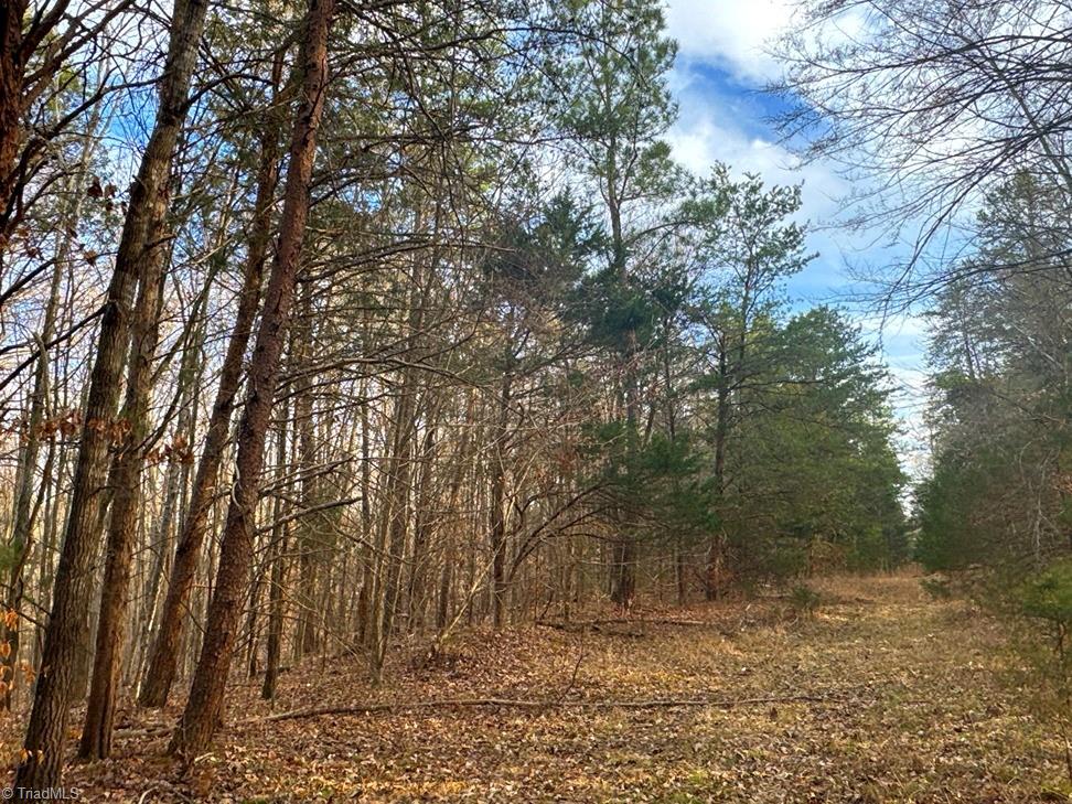 149 Pinecrest Drive, Trinity, North Carolina image 1