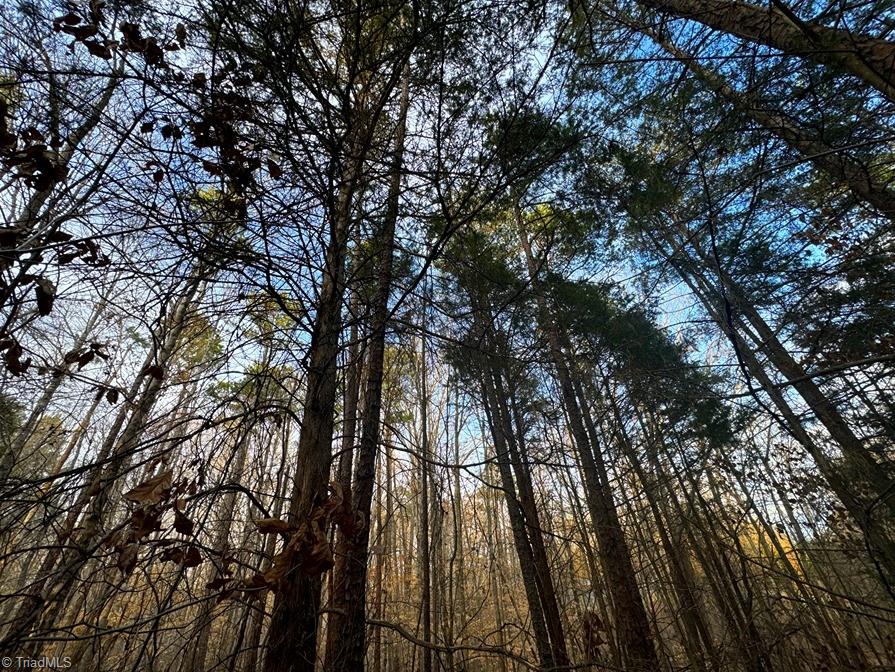 149 Pinecrest Drive, Trinity, North Carolina image 17
