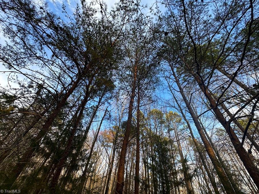 149 Pinecrest Drive, Trinity, North Carolina image 3