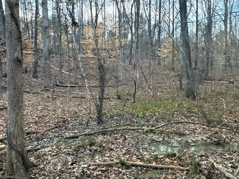 149 Pinecrest Drive, Trinity, North Carolina image 15