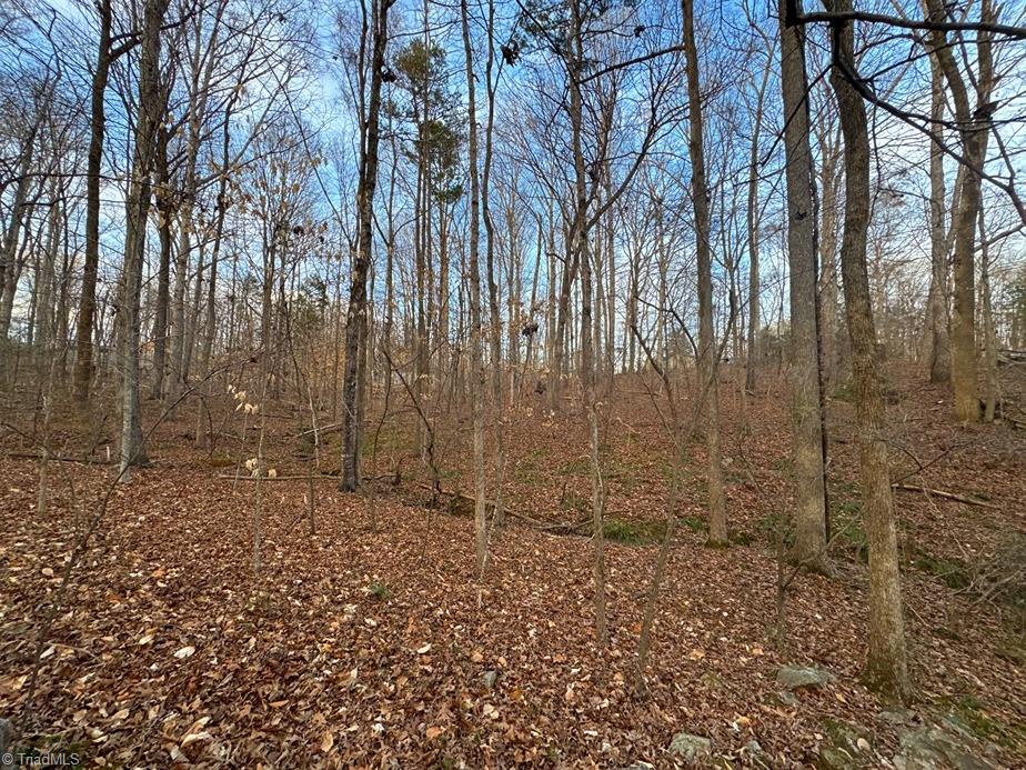 149 Pinecrest Drive, Trinity, North Carolina image 10
