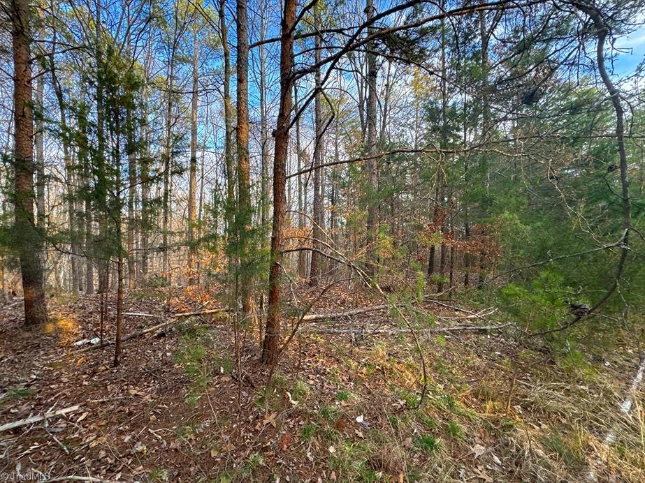149 Pinecrest Drive, Trinity, North Carolina image 14