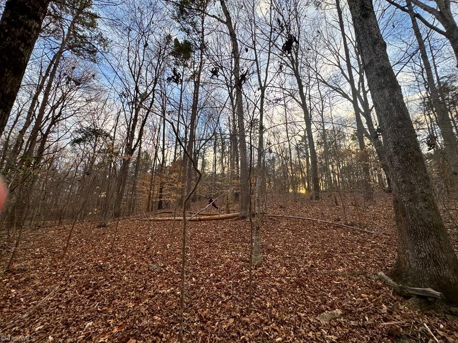 149 Pinecrest Drive, Trinity, North Carolina image 9