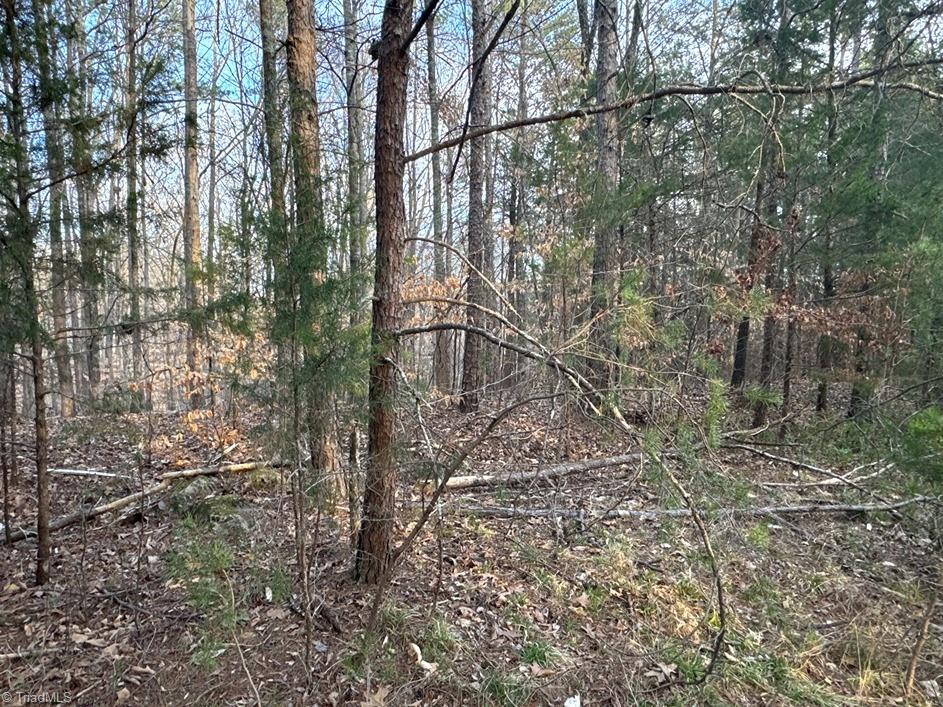 149 Pinecrest Drive, Trinity, North Carolina image 22