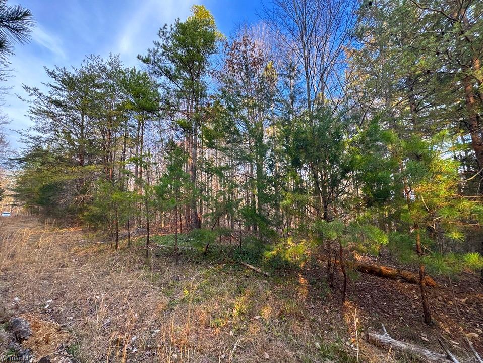 149 Pinecrest Drive, Trinity, North Carolina image 5