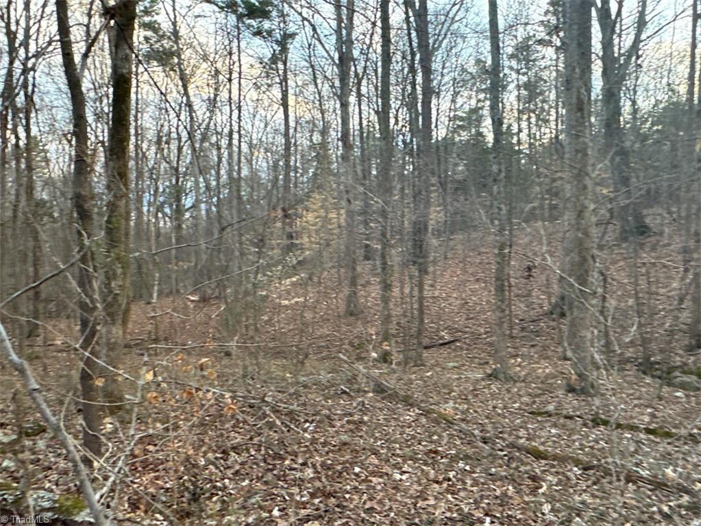 149 Pinecrest Drive, Trinity, North Carolina image 11