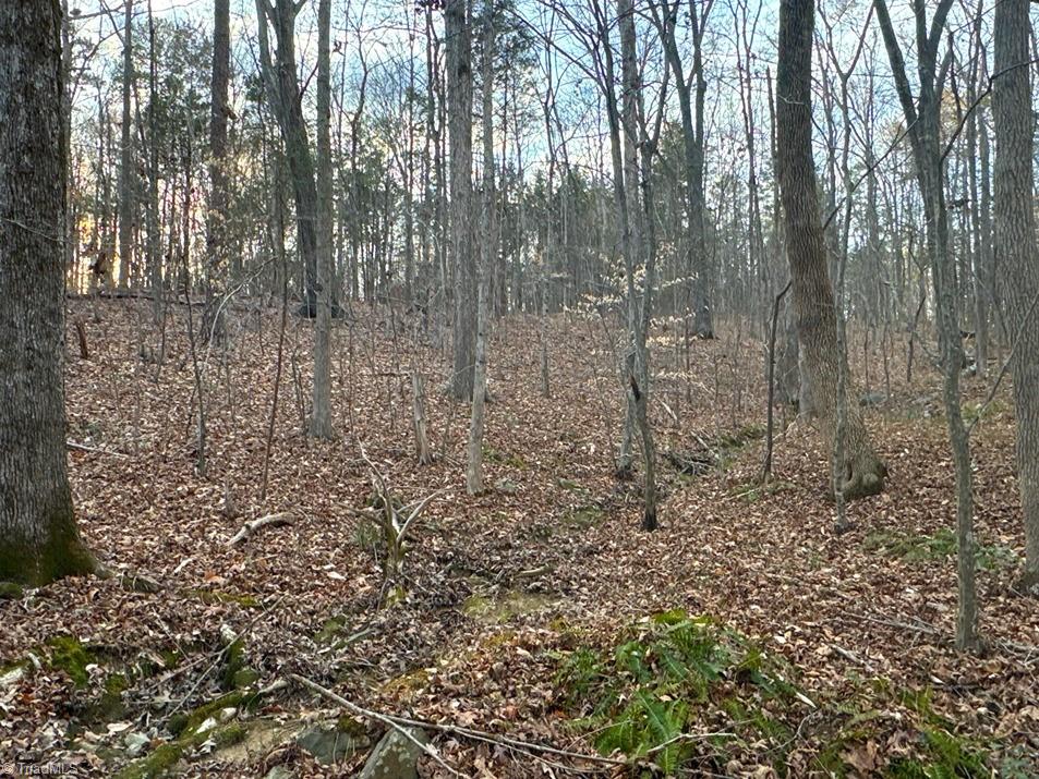149 Pinecrest Drive, Trinity, North Carolina image 13