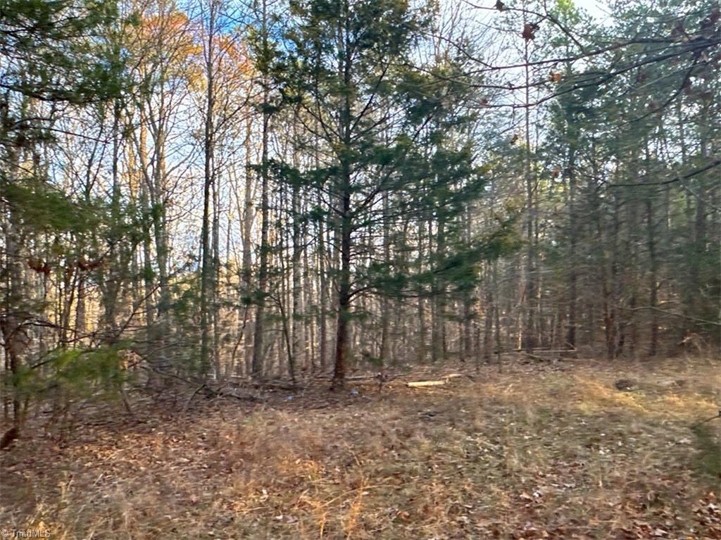 149 Pinecrest Drive, Trinity, North Carolina image 7