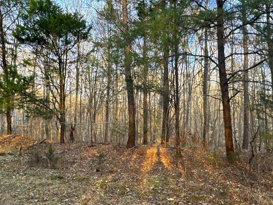149 Pinecrest Drive, Trinity, North Carolina image 20