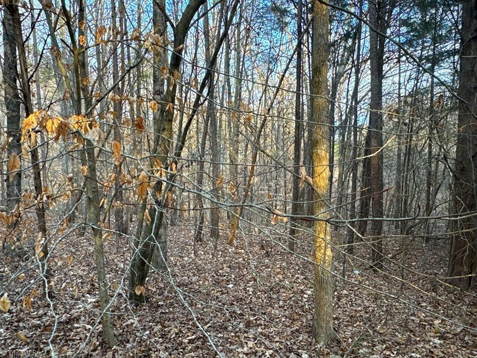 149 Pinecrest Drive, Trinity, North Carolina image 16