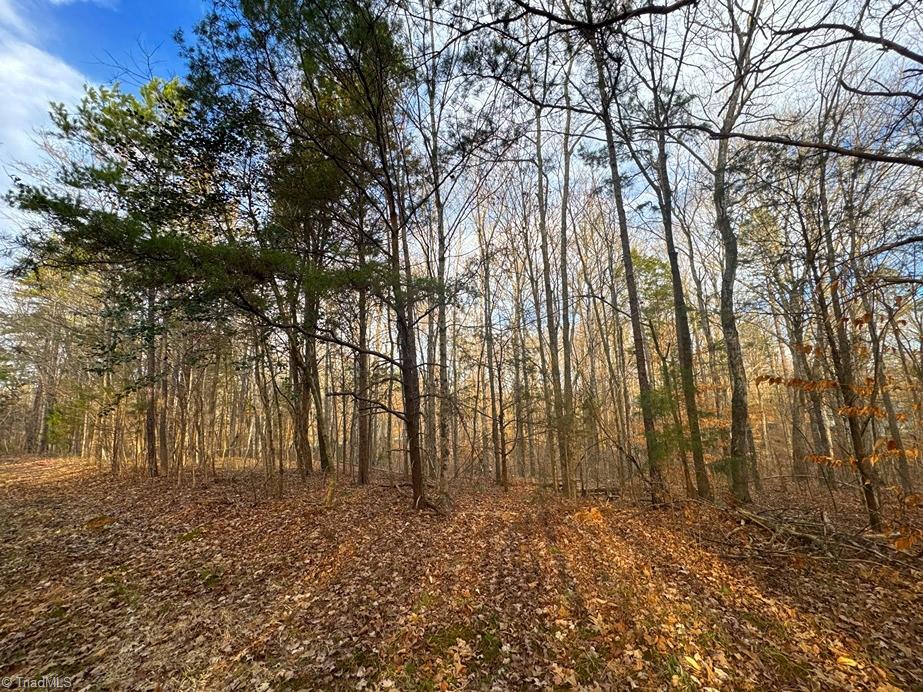 149 Pinecrest Drive, Trinity, North Carolina image 4