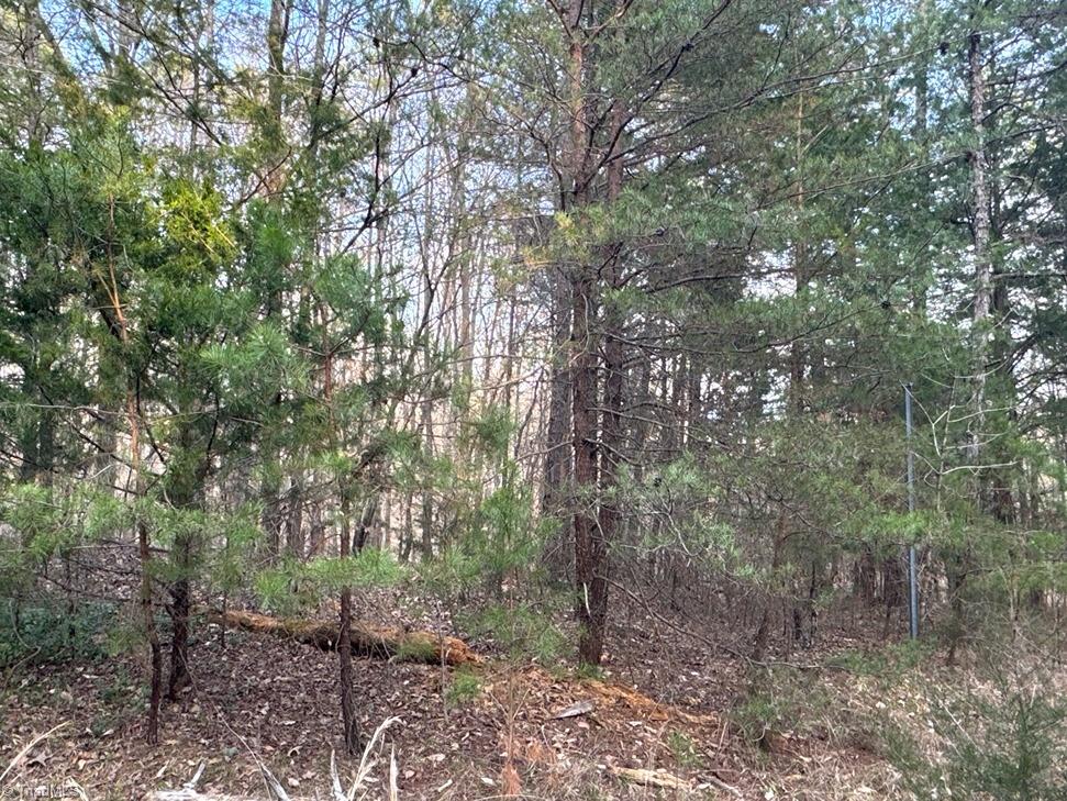 149 Pinecrest Drive, Trinity, North Carolina image 21