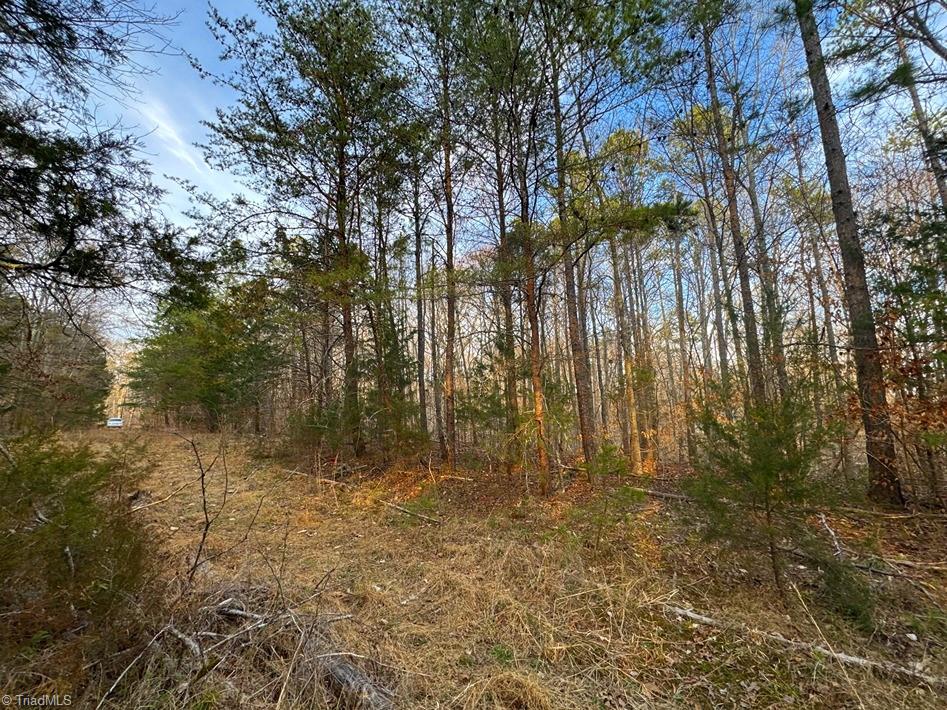 149 Pinecrest Drive, Trinity, North Carolina image 6