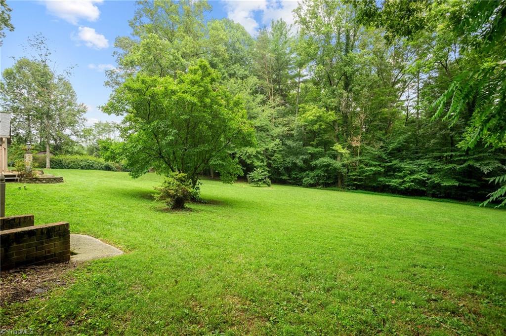 134 English Primrose Lane, Dobson, North Carolina image 12