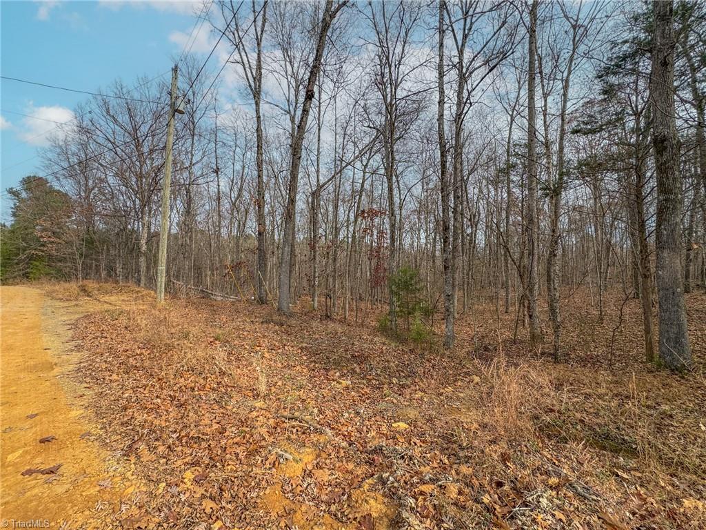 6124 Wild Horse Canyon Road