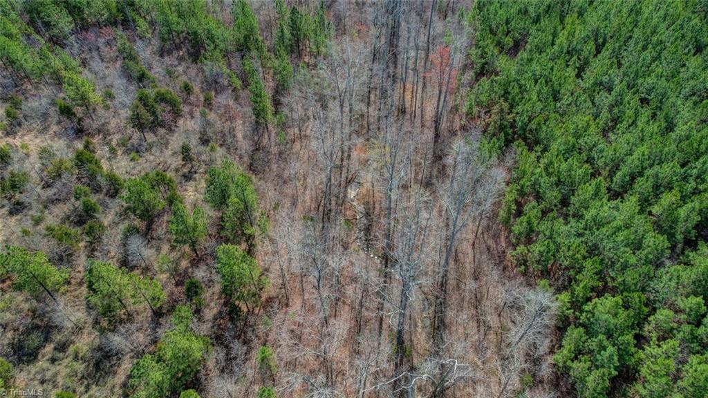 6712 Blanch Road, Blanch, North Carolina image 18