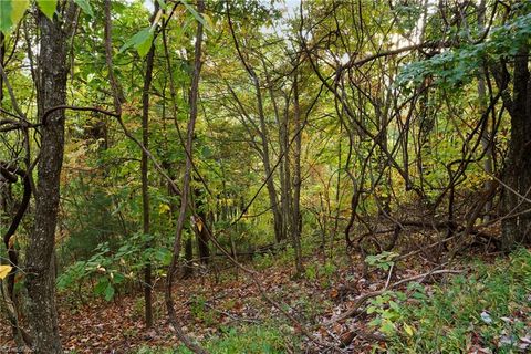 Vacant Land For Sale - LOT 16 Little Ivy Lane<br/> Deep Gap, NC 28618