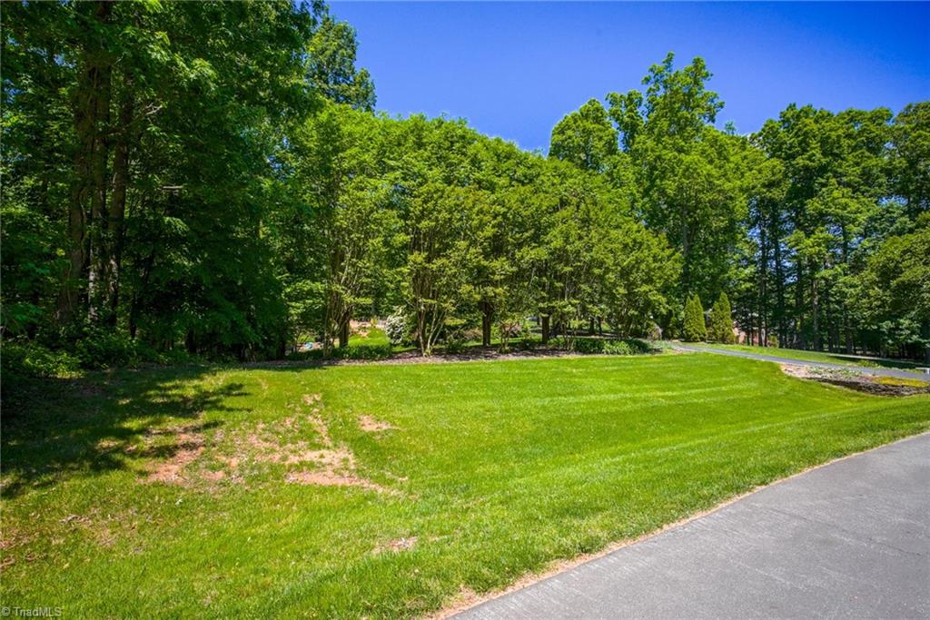 3613 Summit Lakes Drive, Browns Summit, North Carolina image 2