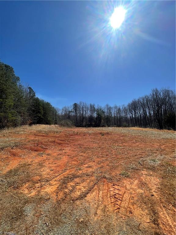 3494 Carl Allred Road, Franklinville, North Carolina image 10