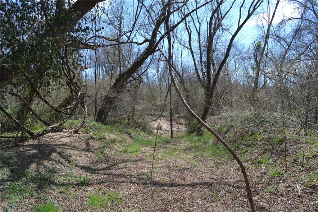 8.8 Acres Water Street, Madison, North Carolina image 9